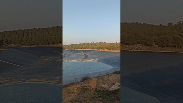 Израиль Лес Ятир Israel Forest Yatir смотреть онлайн