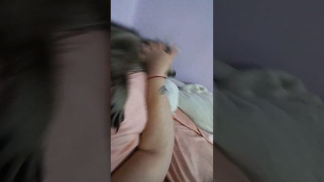 утро енотье #помощьбездомнымживотным #ямыилюша #анапа # смотреть онлайн