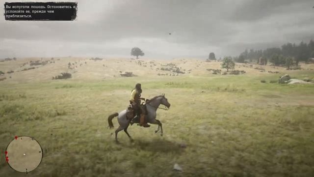 Red Dead Redemption 2 Орел поймал мне белку смотреть онлайн