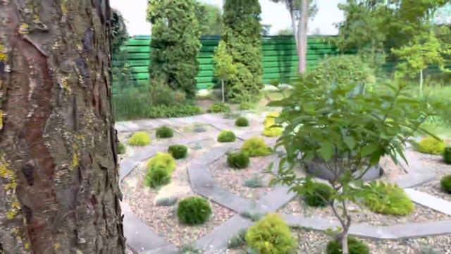 Французские бульдоги устроили мне засаду… смотреть онлайн