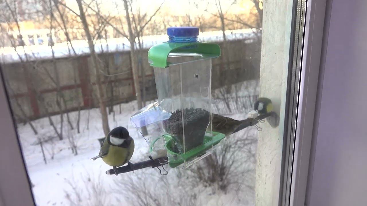 Новая кормушка смотреть онлайн