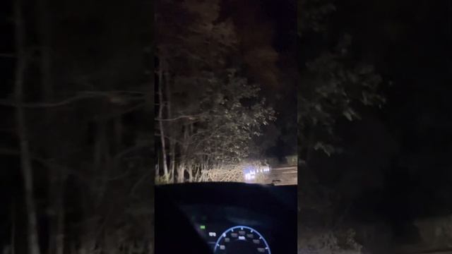 30 сентября 2022 г. Свет ламп OSRAM NIGHT BREAKER Laser Xenarc 66340XNL. D3s Range Rover, ч