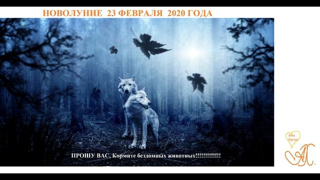 Новолуние 23 февраля 2020 года для всех Знаков Зодиака! смотреть онлайн