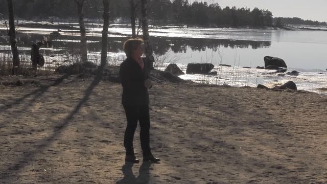 Anna-Maja Henrikssons valvideo 2015 смотреть онлайн