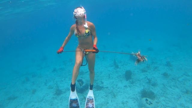 The Hawaiian Sling | SPEARFISHING Grand Bahama смотреть онлайн