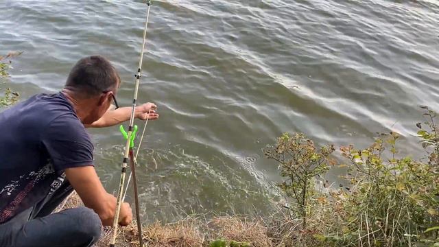 РЫБАЛКА НА ПРУДУ. ЛОВЛЯ БЕЛОГО АМУРА.