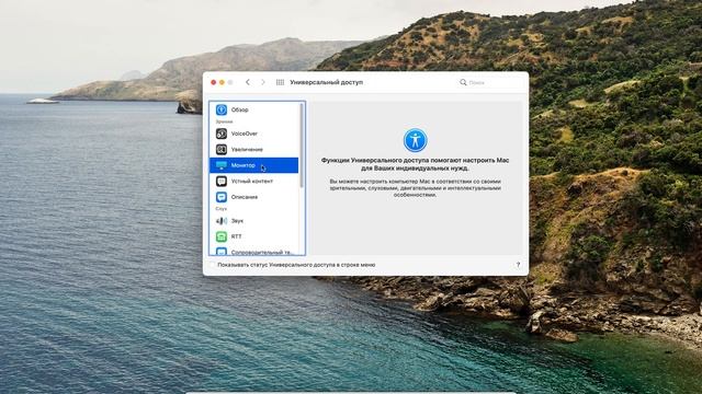 Как убрать увеличение курсора на MacOS Bir Sur смотреть онлайн