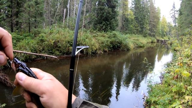 Хариус на спиннинг. Новая речка не дала. смотреть онлайн