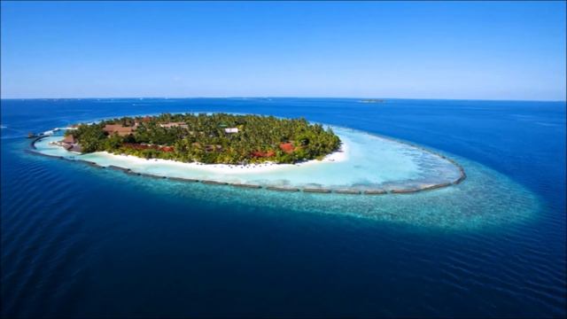 Водные просторы. 2 часть | Любопытные вопросы смотреть онлайн