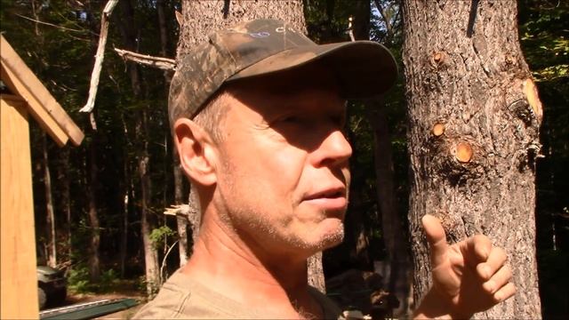 Building a Chicken Coop and Woodshed Addition To Our Greenhouse at our Off Grid Homestead. смотреть онлайн