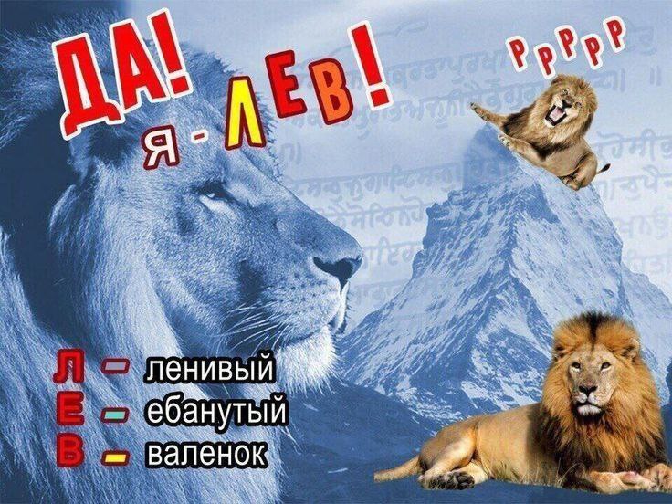 тут мемы, заходи