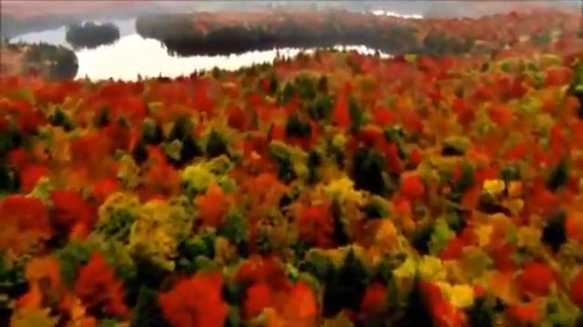 Божественная музыка смотреть онлайн