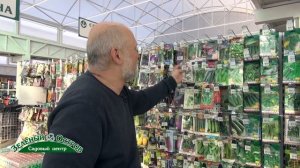 Лидеры мировой селекции, черношипные гибриды огурцов фирмы Биотехника, Петербургский экспресс и Йоу