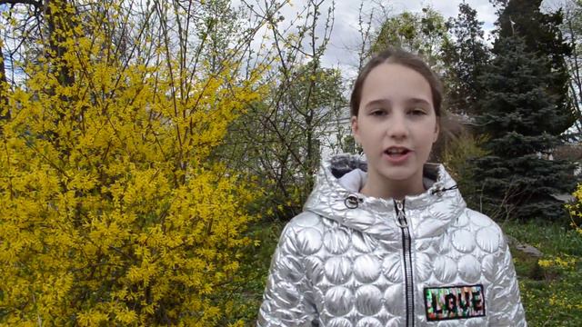 Зеленська Софія гимназія 14 смотреть онлайн
