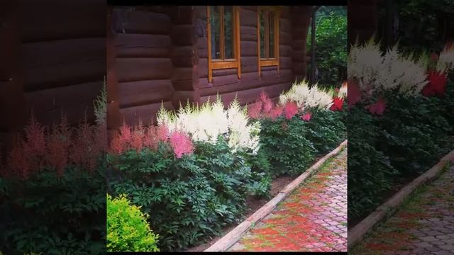 ТОП-10 Клумба из многолетников непрерывного цветения. Цветы в июле. смотреть онлайн