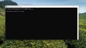 Fix No Available Camera Input Error in Snap Camera on Windows 11 PC [Tutorial]
