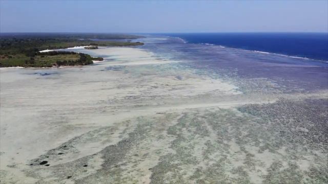 Танзания | Tanzania 2020 смотреть онлайн