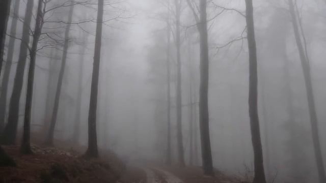 Полуночник - Перемены ( Объемный звук, слушать в наушниках ) смотреть онлайн
