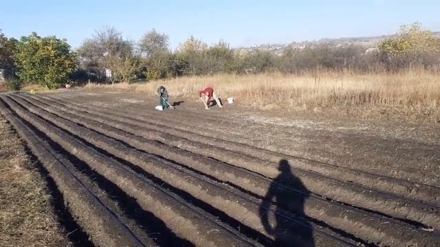 От сорняков до клубники. Все этапы работ за 15 минут смотреть онлайн