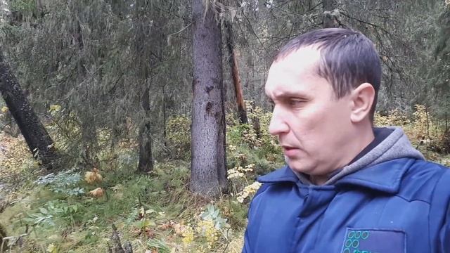 Северный Урал. Две реки. Осень, закрытие сезона 2020. (2-я серия) смотреть онлайн