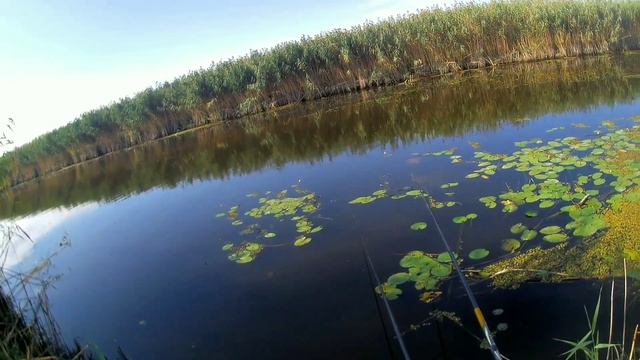 Катание на моторах по Суле. Или кому какие преимущества дает лодка. смотреть онлайн