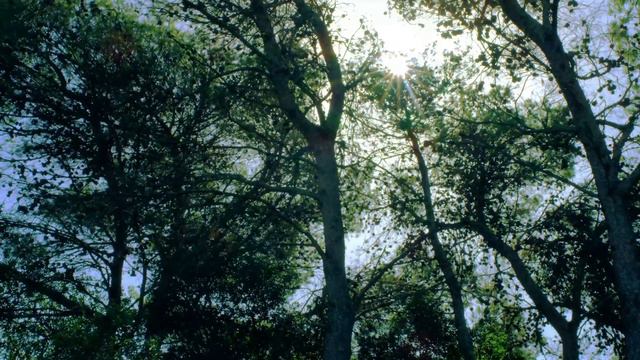 Beautiful Ambient Relaxing Music | 8 HOURS, Meditation Music, Study Focus Music, Soothing Music смотреть онлайн