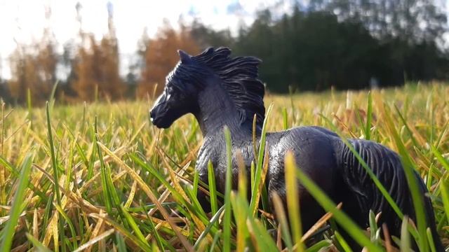 Времена года // Фотографии лошадей Шляйх // Schleich смотреть онлайн