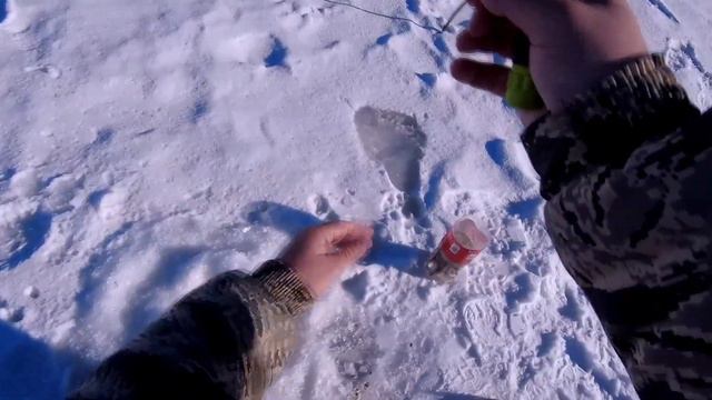 Ловля живца зимой. Winter fishing video. Ice fishing video.#bestfishingvideo #icefishing смотреть онлайн