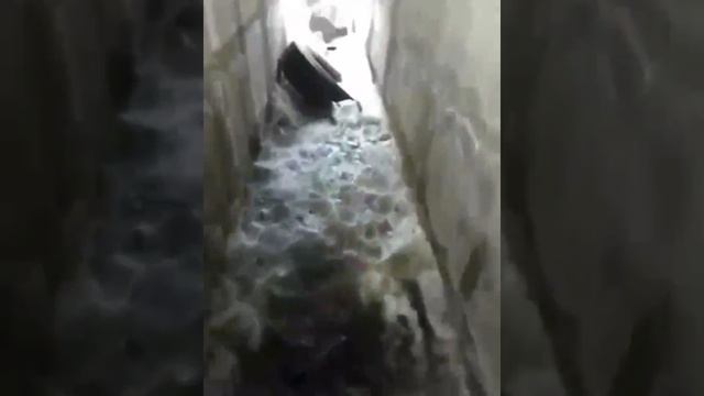 Трасса ИРКУТСК-красноярск, загадили эстакаду. смотреть онлайн