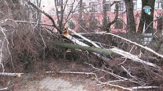 Курские огнебрцы оказали помощь в уборке улиц г Курска от поваленных ветром деревьев смотреть онлайн
