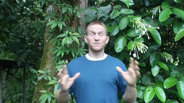 Stop Being Angry and Blaming Others: How to Act, Instead of React смотреть онлайн