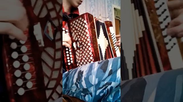На гармони "Чёрные глаза" смотреть онлайн