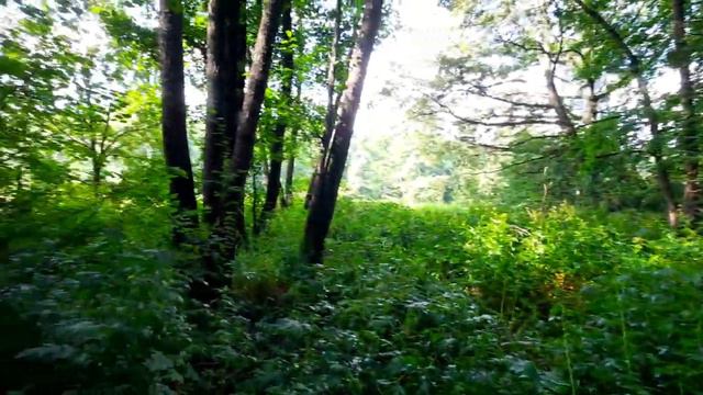 Cross Country. Освежающая покатушка)))