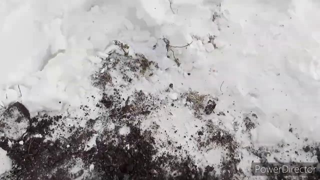GOLD HUNTER VS КВАЗАР АРМ ТЕСТ НА ГЛИБИНУ. -6°С смотреть онлайн