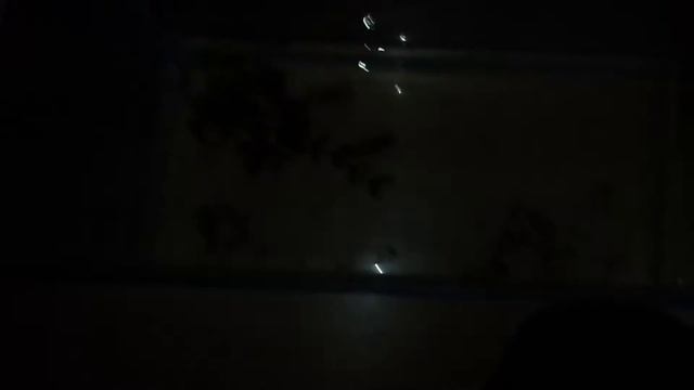 Тритоны смотреть онлайн