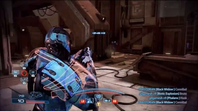 Builds for Beginners - Human Sentinel смотреть онлайн