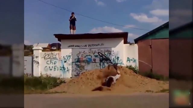 Вася Обломов - Адекватный ответ (неофициальный клип)