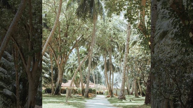 Номер один - Мечты Работа из дома смотреть онлайн