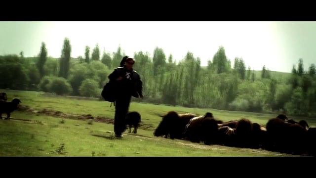 Владимир Венгеров - я иду домой. смотреть онлайн