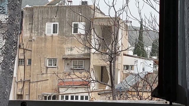 Ворона со второй попытки взяла вкусняшку. The second try was successful #ворона#crow#funnycrow#עורב смотреть онлайн