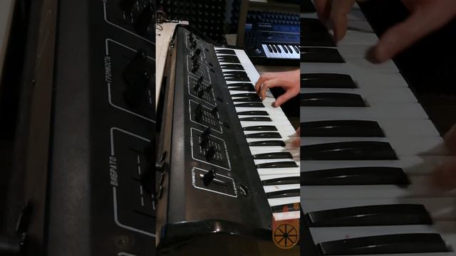 TOM 1501 | RARE USSR Analog Strings Synthesizer | Piano Synth