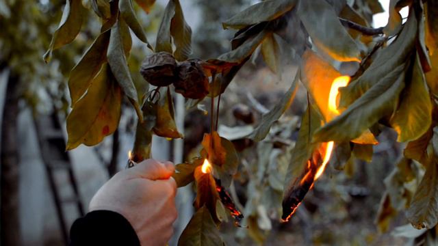 Фрагменты видео поздравлений смотреть онлайн