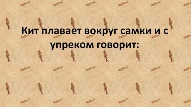 АНЕКДОТ ПРО КИТОВ! смотреть онлайн