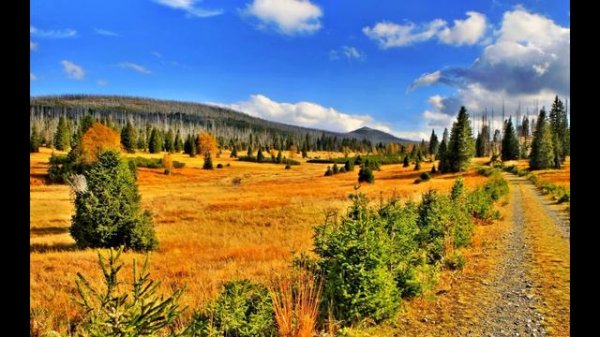 Tony Igy Top 10 Tracks