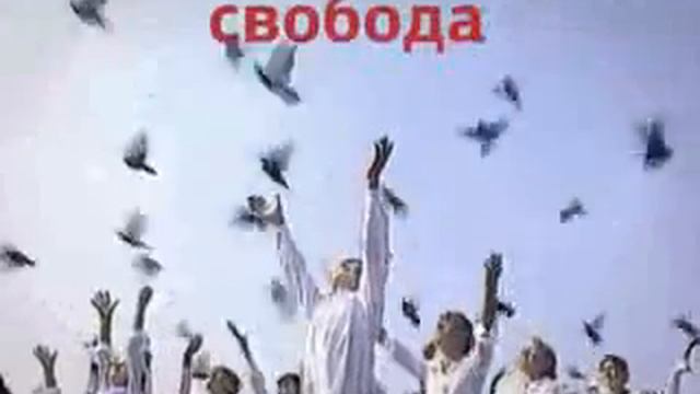 29 июля защити свою Родину! смотреть онлайн