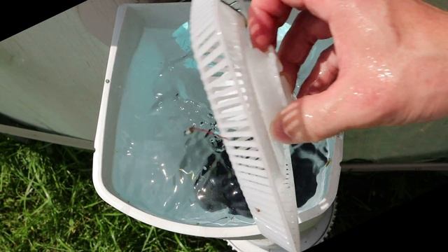 Intex Krystal Clear Sand Filter Pump hooked up to a Summer Waves Elite Pool смотреть онлайн