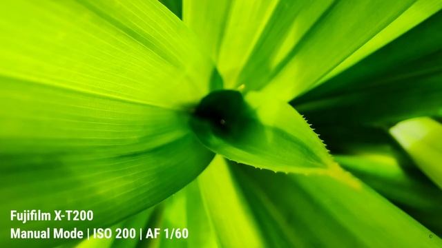 Fujifilm XT200 | Nature Photography - Is It Good? With Sample Photos смотреть онлайн