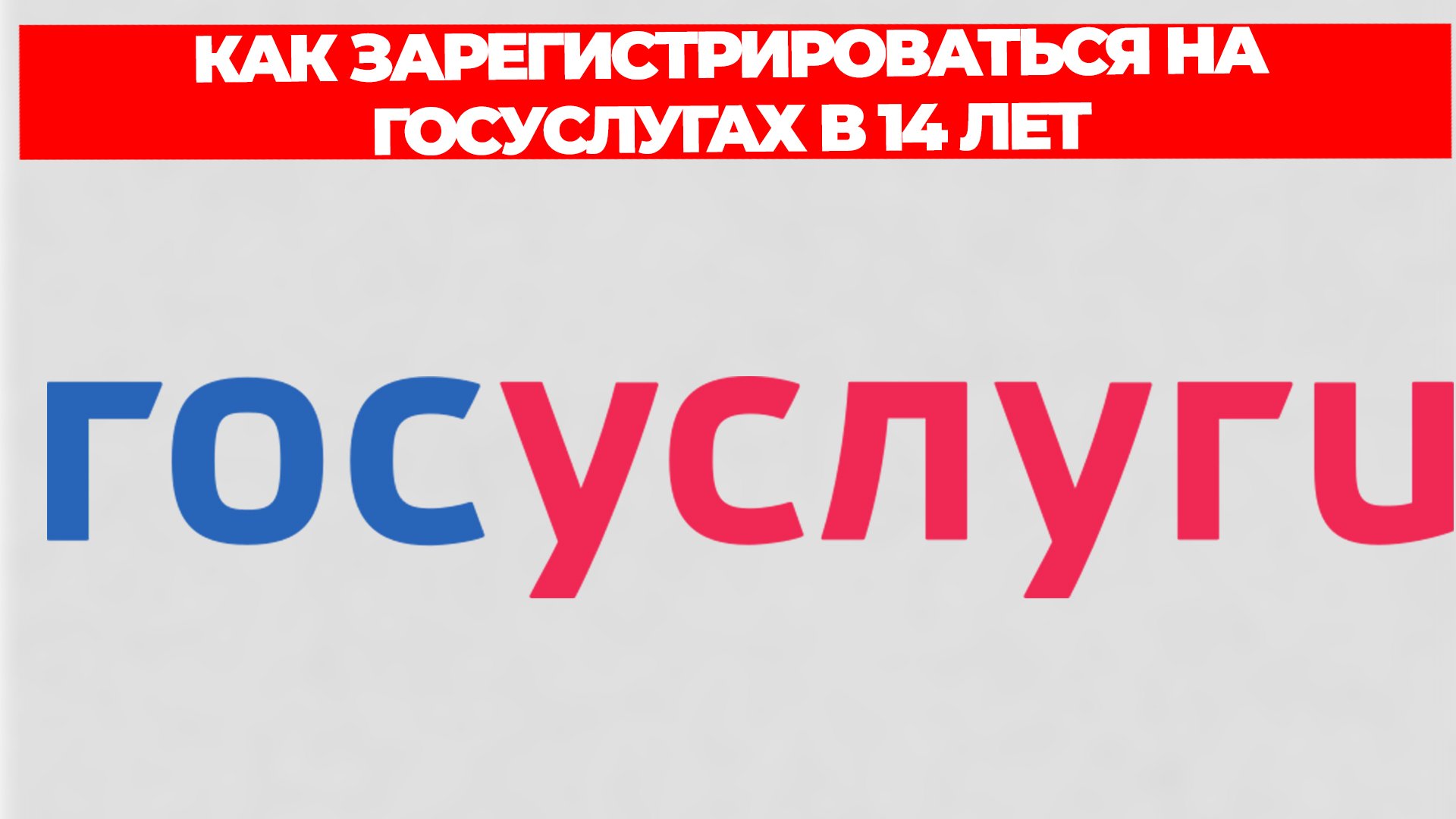 Всезнающий Енот