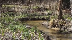 Где лучше искать монеты! Как теряли монеты? Места где надо копать в первую очередь!