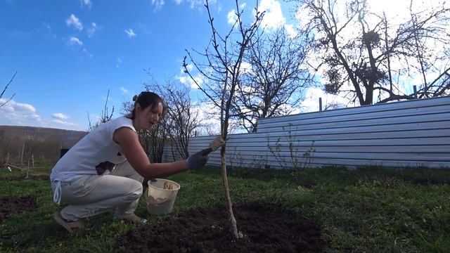 Весна вернулась на Кубань, продолжаем работы в саду. Краснодарский край смотреть онлайн